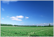 北海道への運送